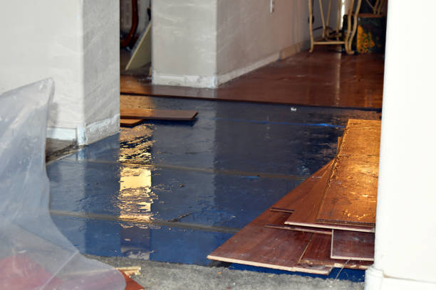 Professional Basement Flood Cleanup technician working in Pinehurst, ID